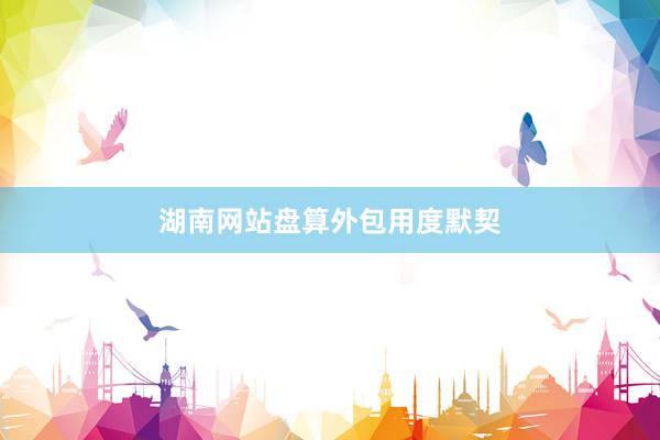 湖南网站盘算外包用度默契